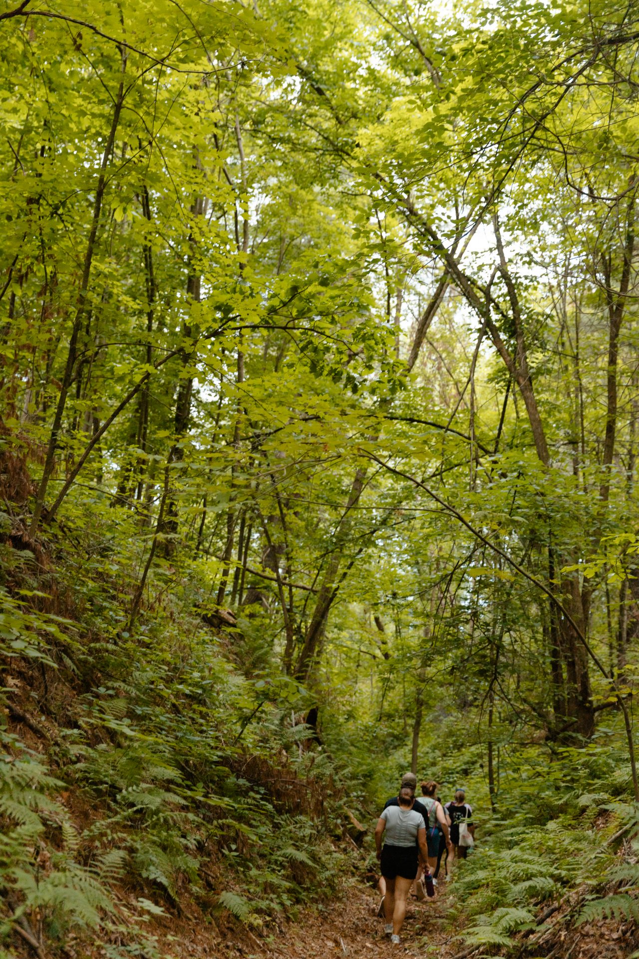 Camp Ehawee hiking trail
