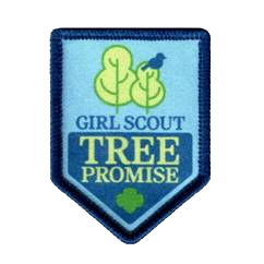 April Challenge: Girl Scout Tree Promise
